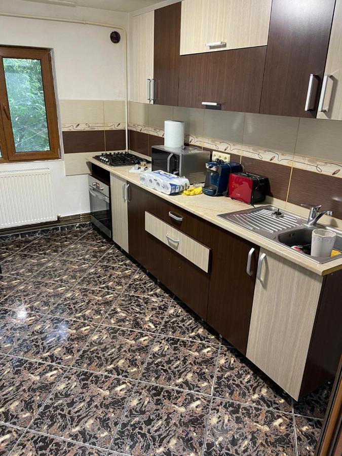 Royal Apartment Buzau Ngoại thất bức ảnh