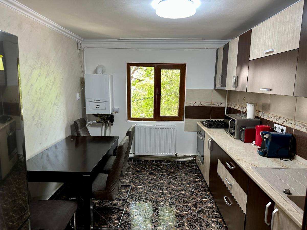 Royal Apartment Buzau Ngoại thất bức ảnh